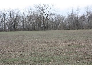 Property photo 17 - 438 +/- Acres Offered in 10 Tracts - Metcalf Farms - 6PM CST